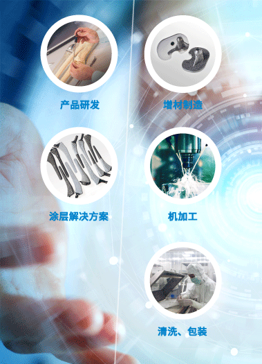 L 中文